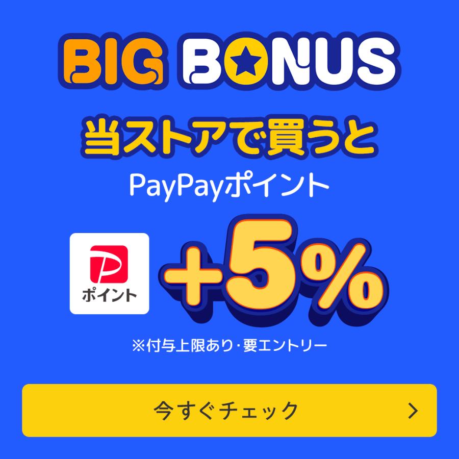NEC 【訳アリ】ノートPC 中古パソコン Office搭載 Windows11 NEC 【訳アリ】ノートPC 中古パソコン Office搭載 Windows11