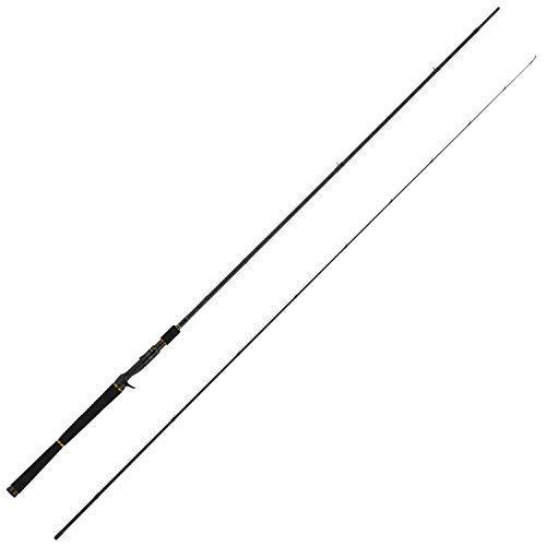 絶妙なデザイン アブガルシア Abu St Salty スーパーライトショアジギング ソルティースタイル ベイト スーパー