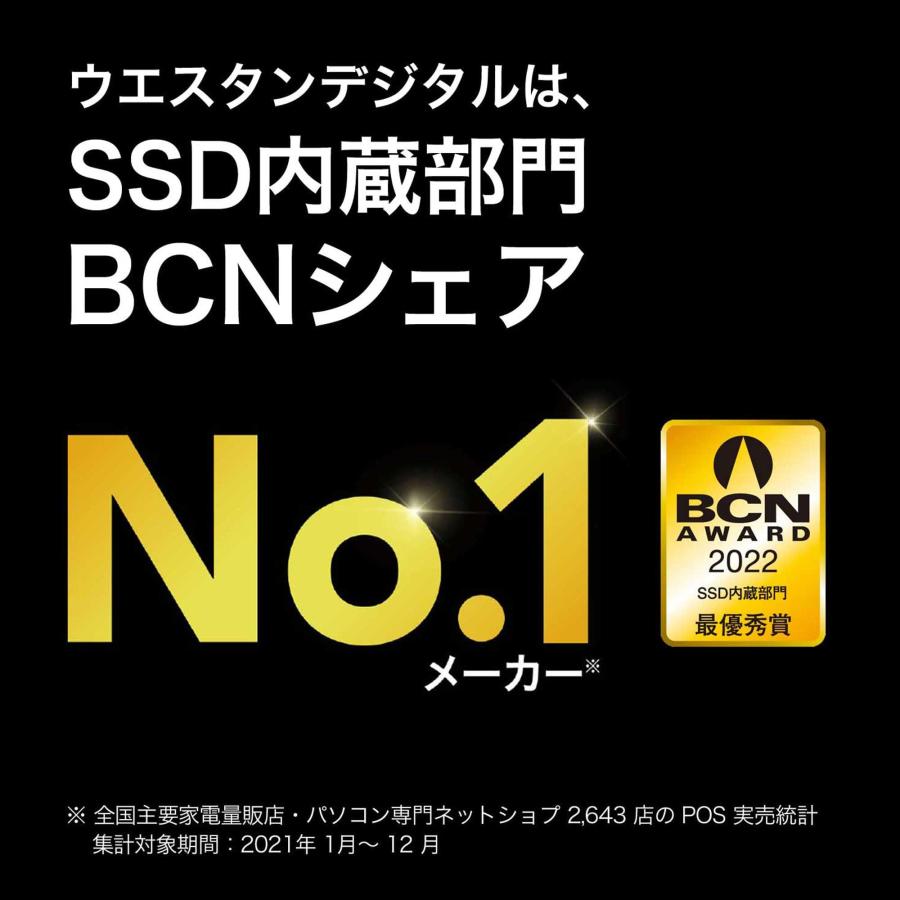 Western Digital 内蔵SSD 2TB WD Blue SN580 (読取り最大 4,150 Western Digital 内蔵SSD 2TB WD Blue SN580 (読取り最大 4,150