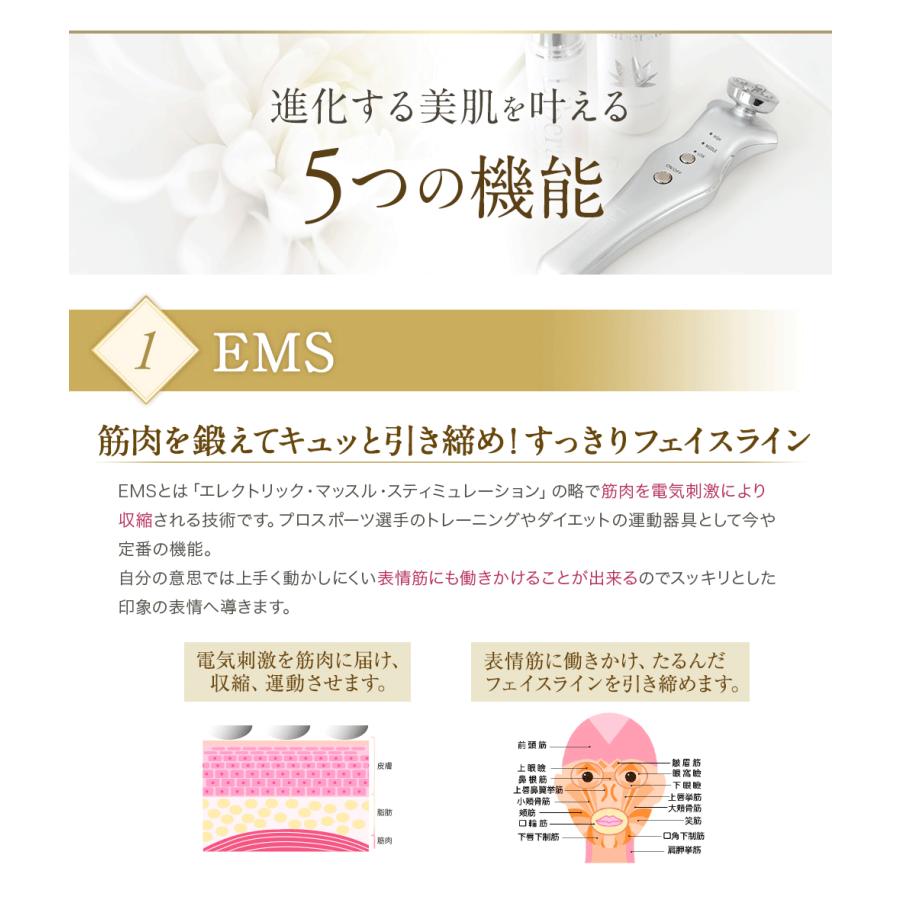 美顔器 ラジオ波 EMS LED コアパルス ララルーチュ最新モデル 美顔器 ラジオ波 EMS LED コアパルス ララルーチュ最新モデル