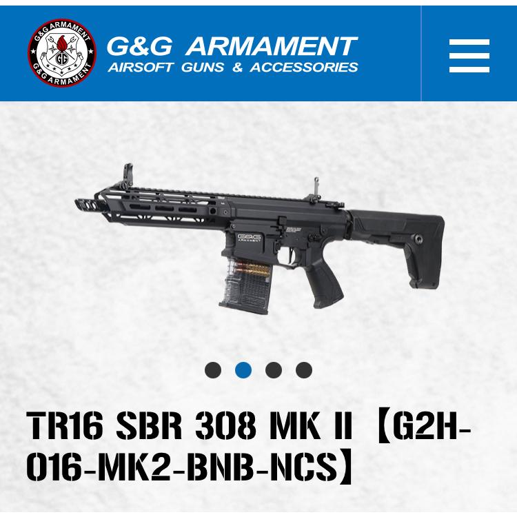 G&G G&G ARMAMENT 【G&G ARMAMENT】【G&G電動ガン】 TR16 SBR 308 MK2