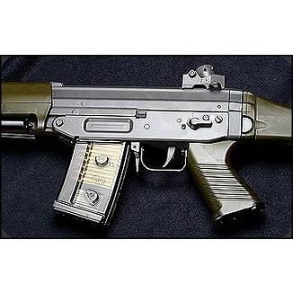 G&G ARMAMENT SG550 TSG-550-STD-BNB-NCS : LIBERATOR - 通販