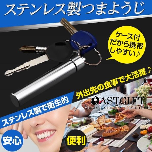 爪楊枝 つまようじ ステンレス ピック 専用ケース 携帯 外食 旅行 コンパクト 清潔 楊枝入れ エチケット 果物ピック 歯石取り Re1138 Astgift 通販 Yahoo ショッピング