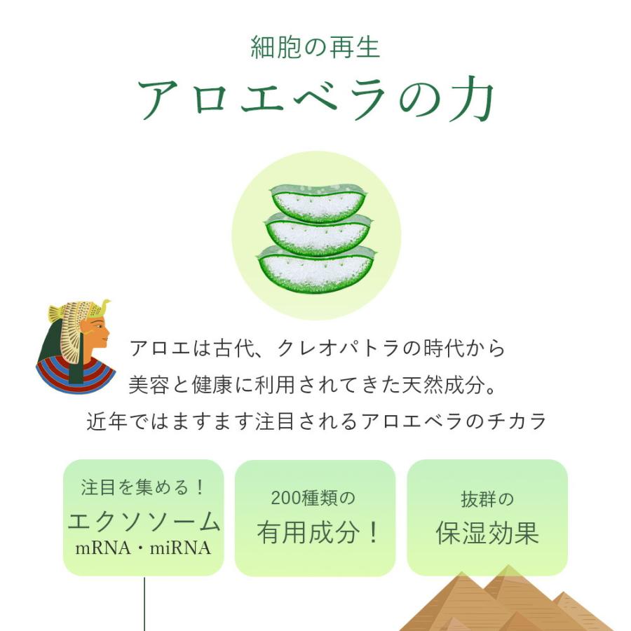 ドクター・リアライズ アロエ美容液ジェル 150g : Liberta Create