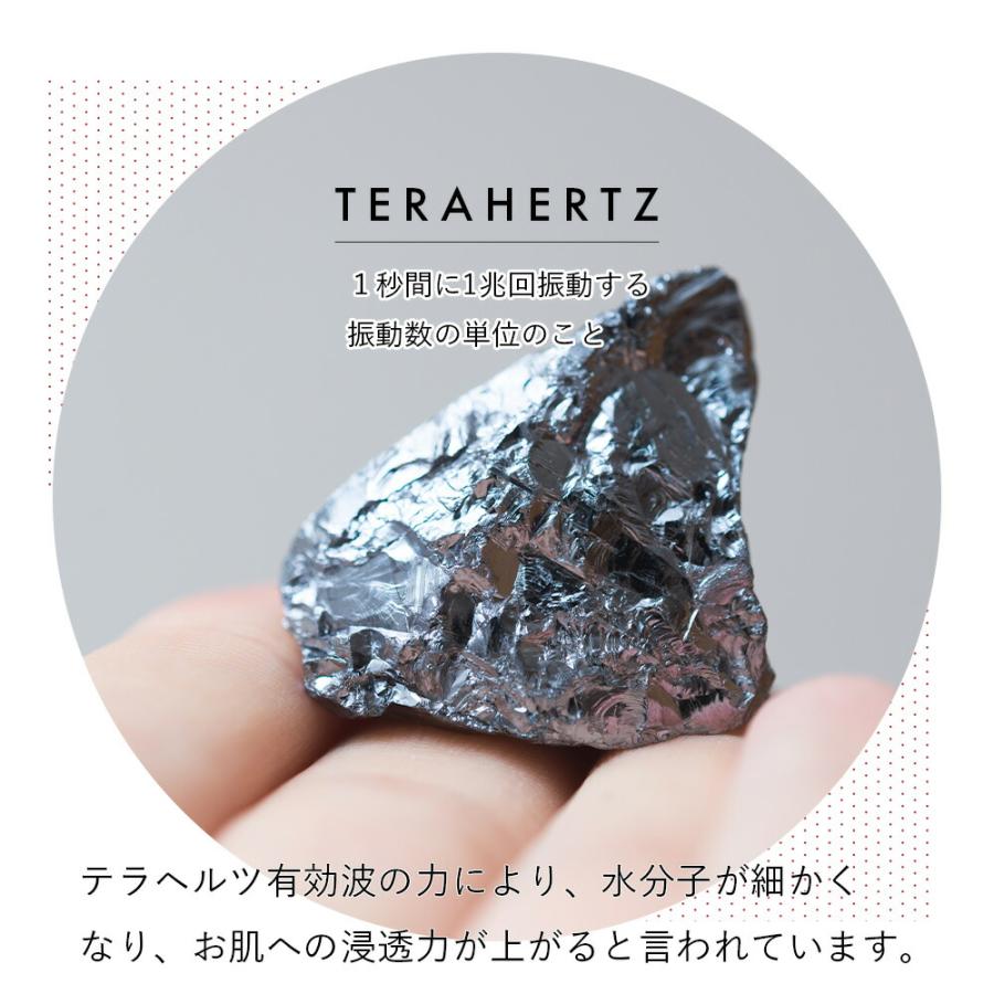 セット】テラココヘアー & セレブラシ（TERACOCOHAIR CELEBRUSH）櫛