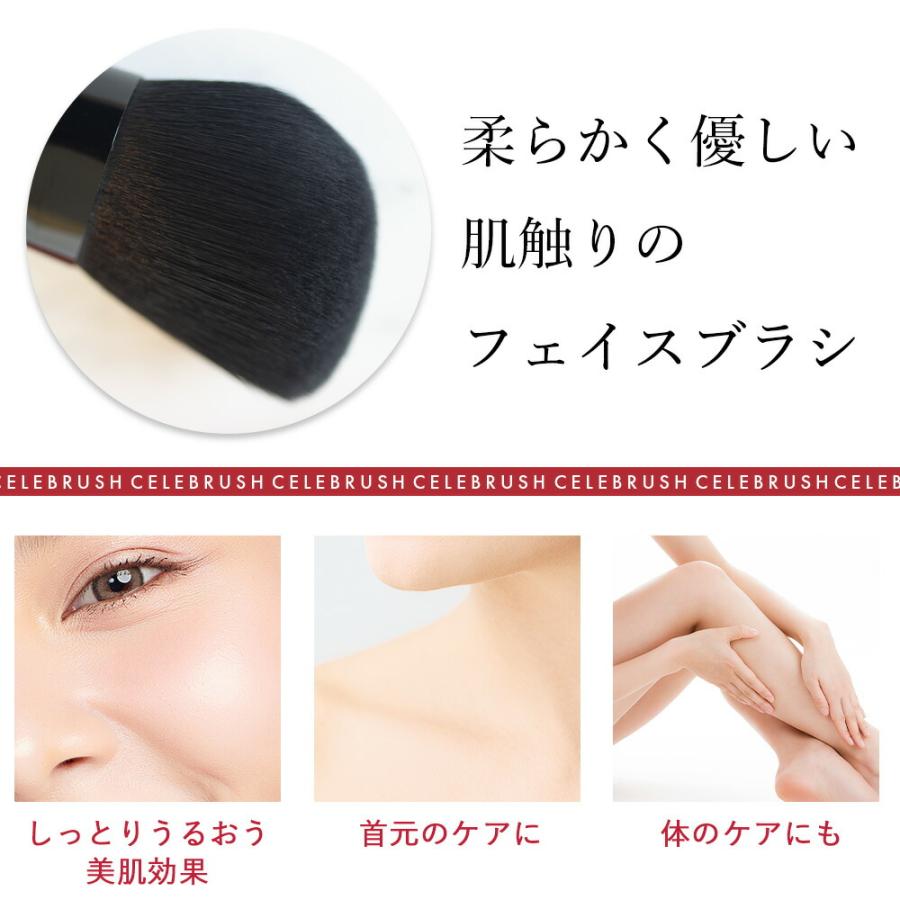 セット】テラココヘアー & セレブラシ（TERACOCOHAIR CELEBRUSH）櫛