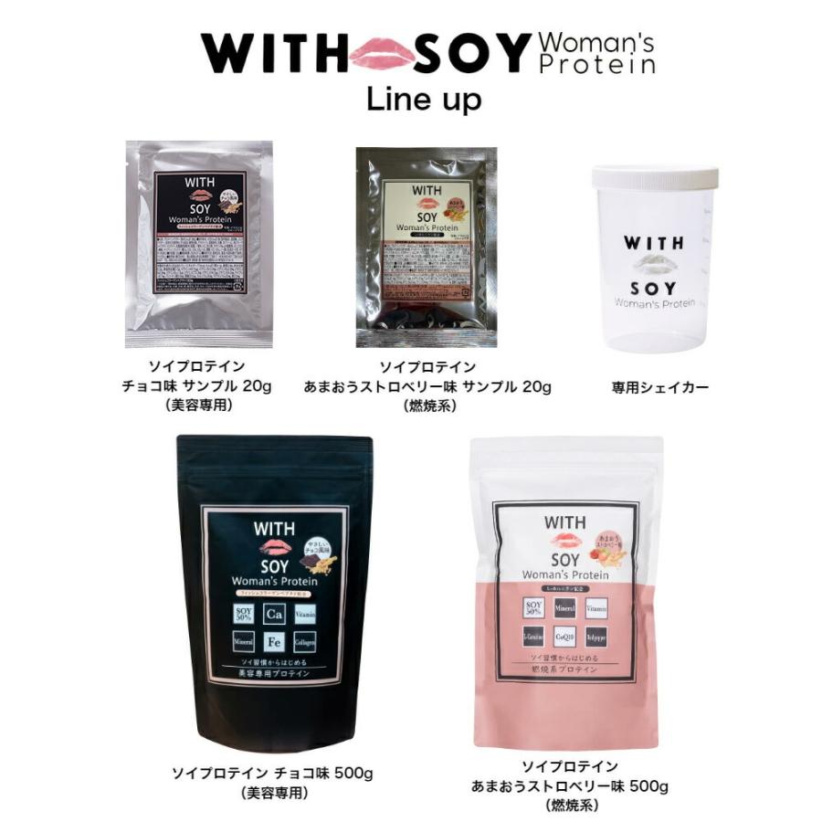 ウィズソイ ウーマンズプロテイン 500g チョコレート味（専用スプーン 