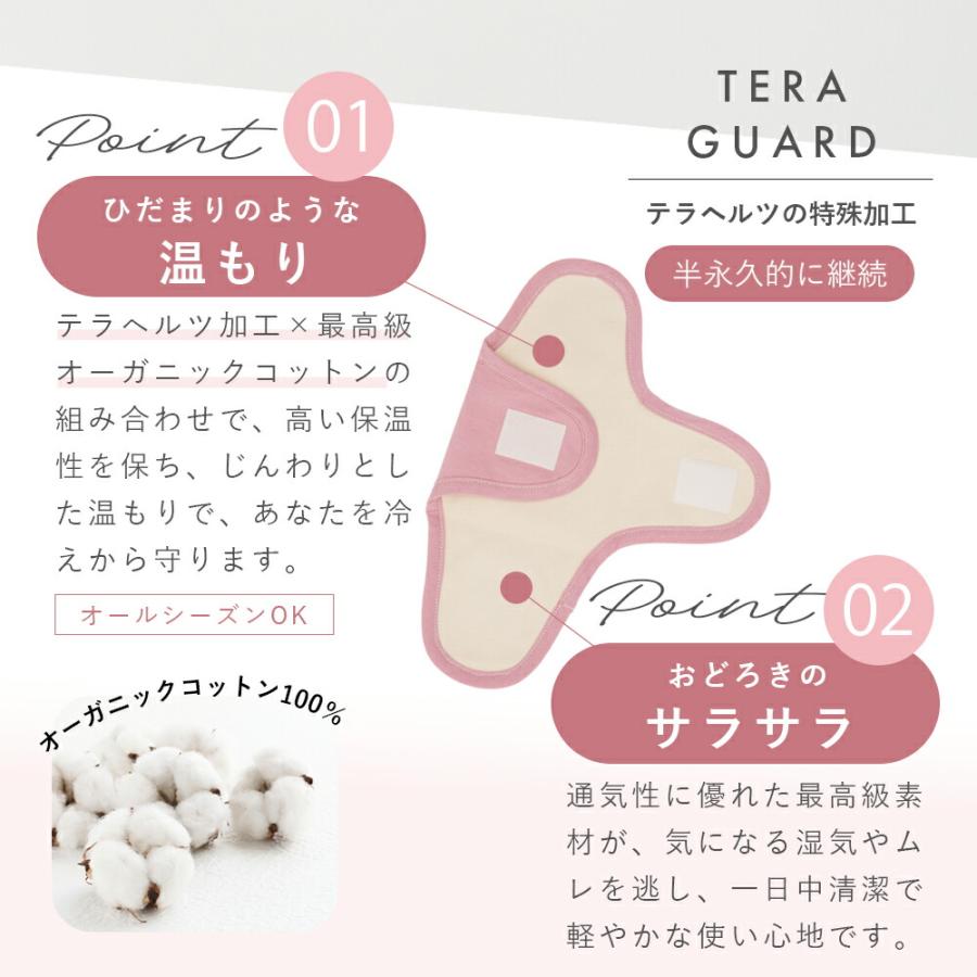 テラヘルツ TERAGUARD テラガード（テラヘルツ 布ライナー