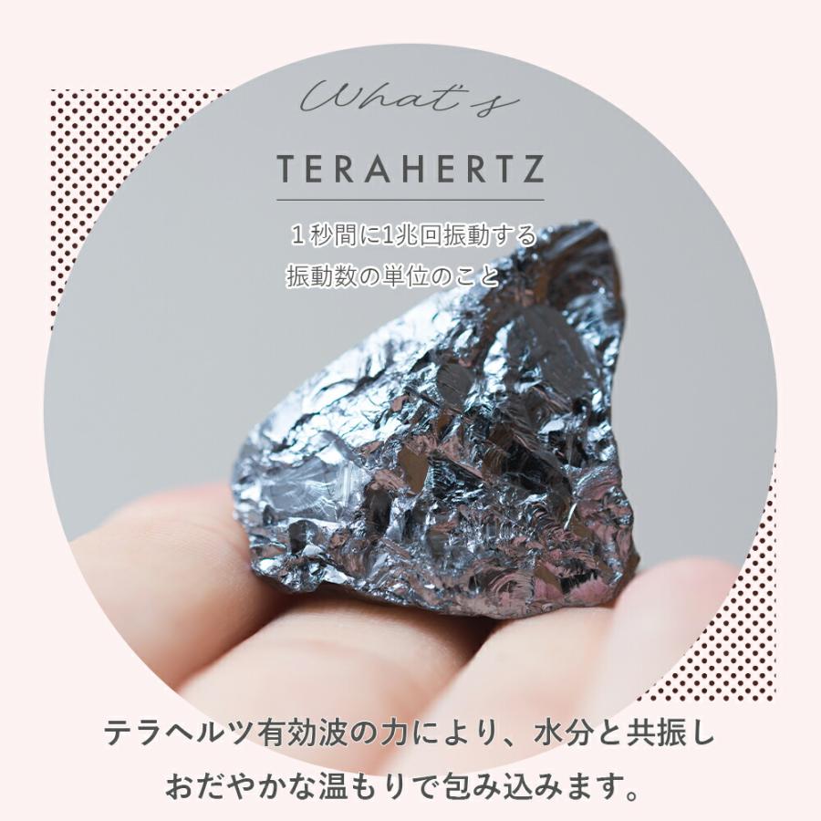 テラヘルツ TERAGUARD テラガード（テラヘルツ 布ライナー