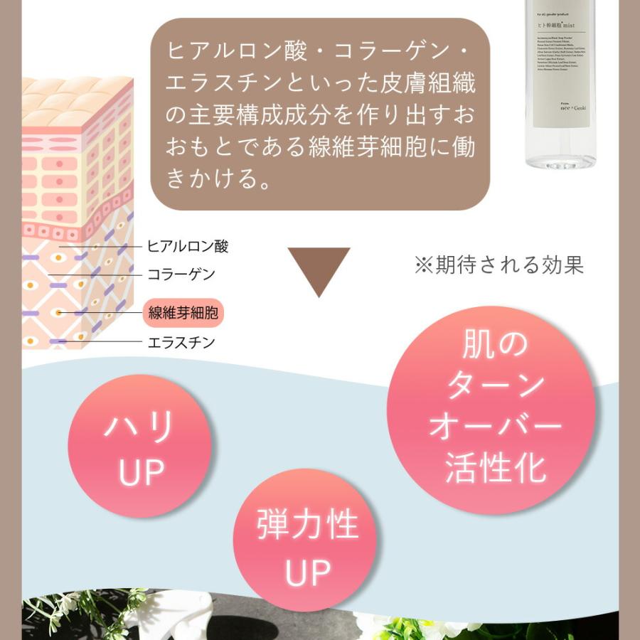 ニーゲンキ ミスト ヒト幹細胞ミスト 全身使える 培養上澄み液 ニーゲンキ ミスト ヒト幹細胞ミスト 全身使える 培養上澄み液