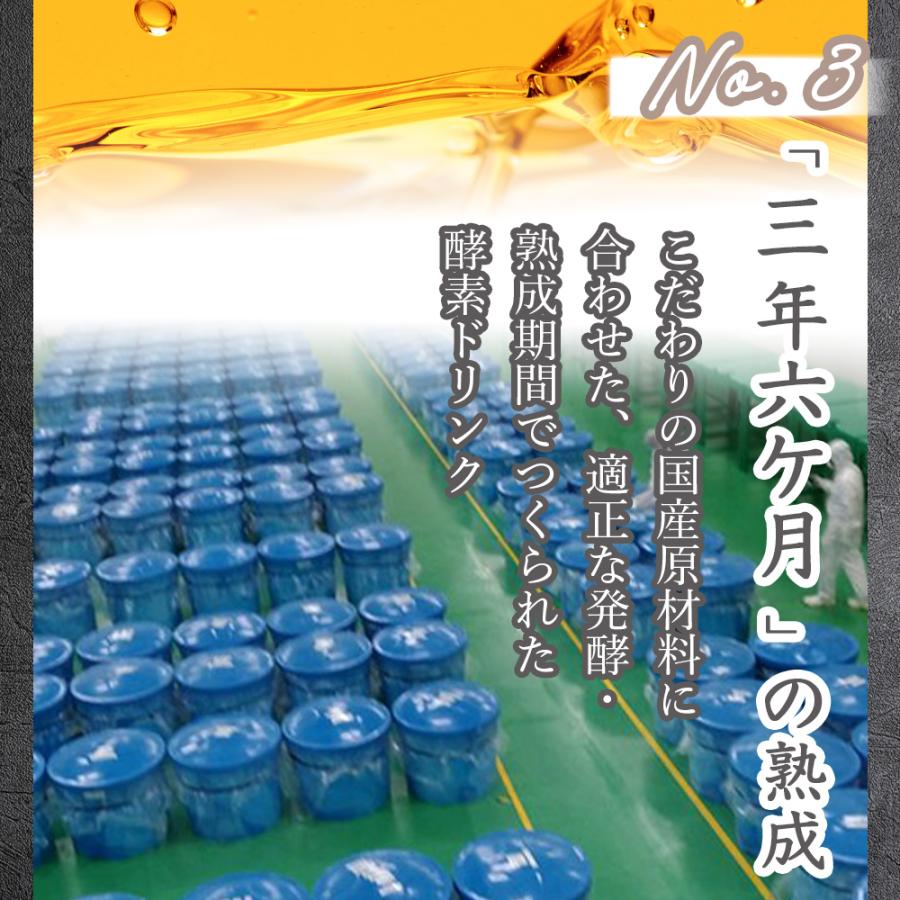 酵素ドリンク IZM 【 PLUS 】 イズム プラス プレミアムテイスト