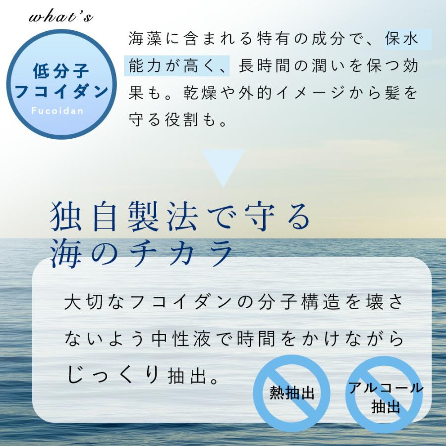 maUmi マウミシャンプー maumi shampoo（マウミシャンプー）400ml（プロトタイプ） – SOISHOP