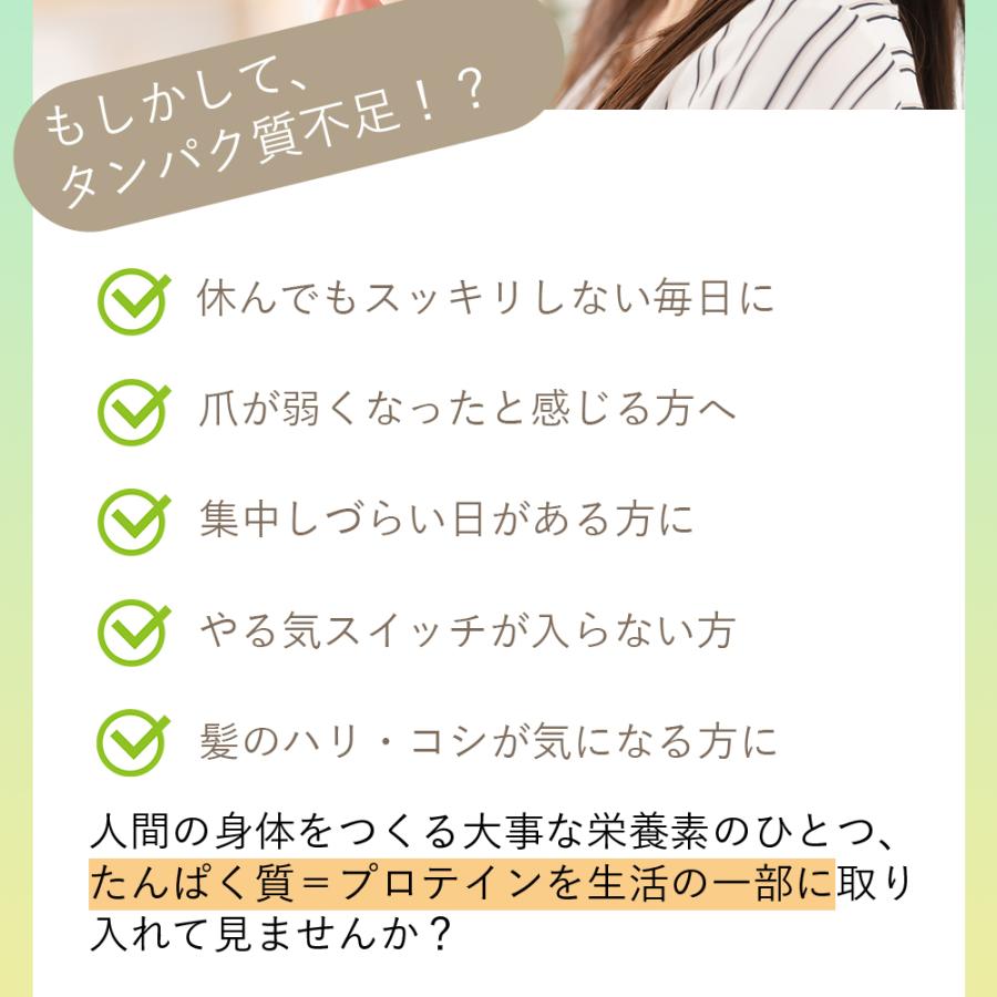 MATCHA PURE 抹茶ピュア（専用スプーン付き） soy protein おいしいから続けられる 抹茶味のソイプロテイン 大豆 ダイエット 美肌 食欲不振 宇治抹茶 タンパク質
