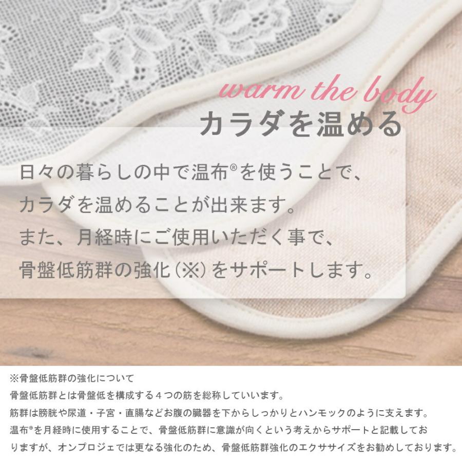 温布♪ あたためセット 布ライナー 女性用ライナー パンティライナー