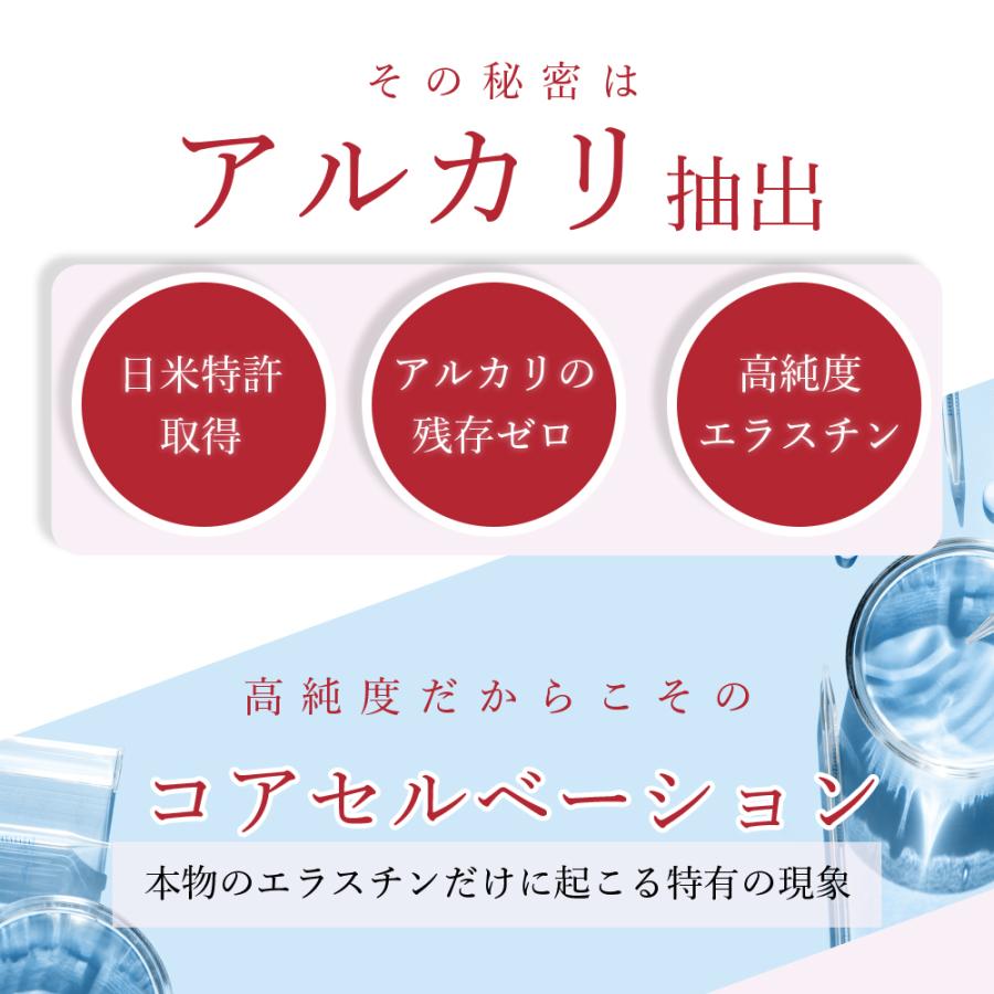 季令 （ KIREI ） エラスチンカプセル 100粒 高純度エラスチン 100