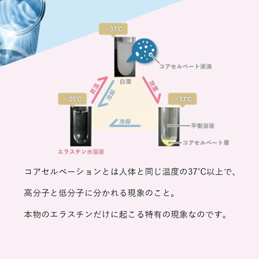パッケージリニューアル 2026年4月】季令 （ KIREI ） エラスチン