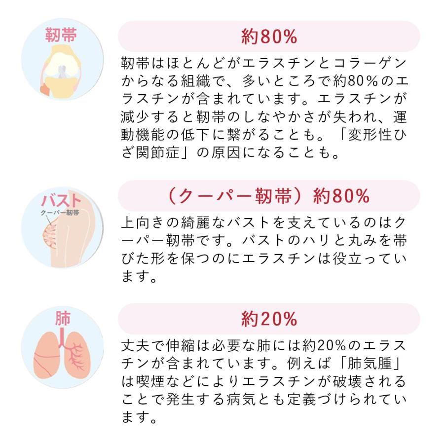 リニューアル エラスチン量20%UP♪】【2袋セット】季令 KIREI リニューアル エラスチン量20%UP♪】【2袋セット】季令 KIREI