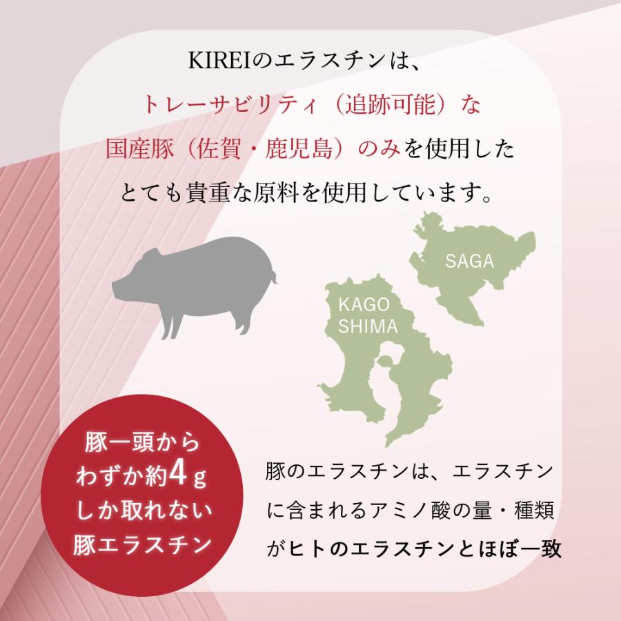 パッケージリニューアル 2026年4月】【2袋セット】季令 KIREI
