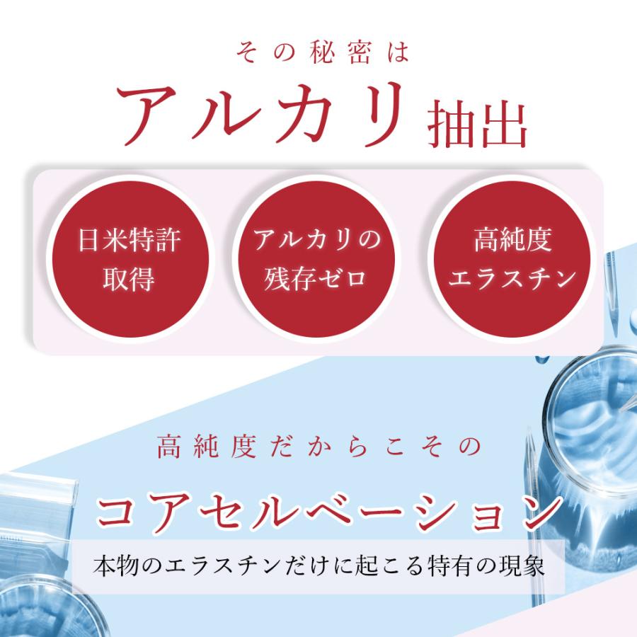 リニューアル エラスチン量20%UP♪】【2袋セット】季令 KIREI リニューアル エラスチン量20%UP♪】【2袋セット】季令 KIREI