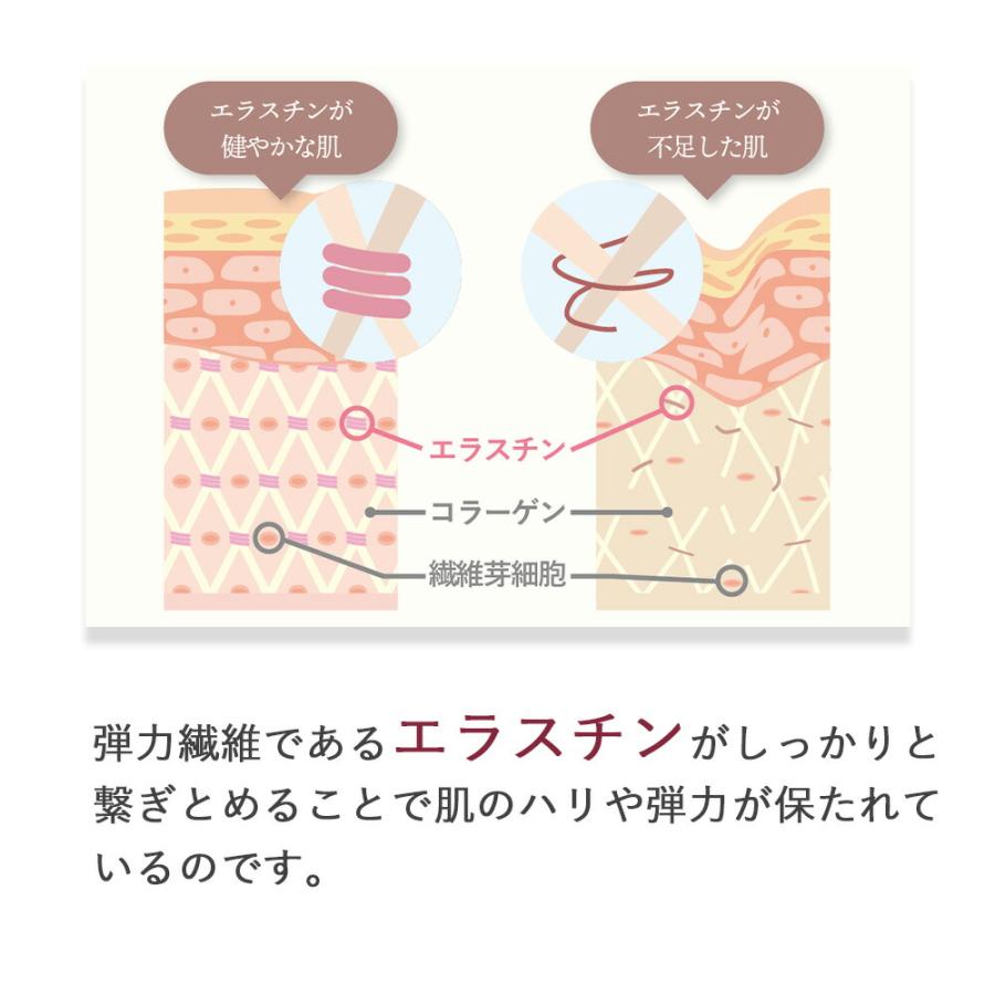 季令 KIREI バストクリーム 120g 高純度エラスチン配合 ボルフィリン