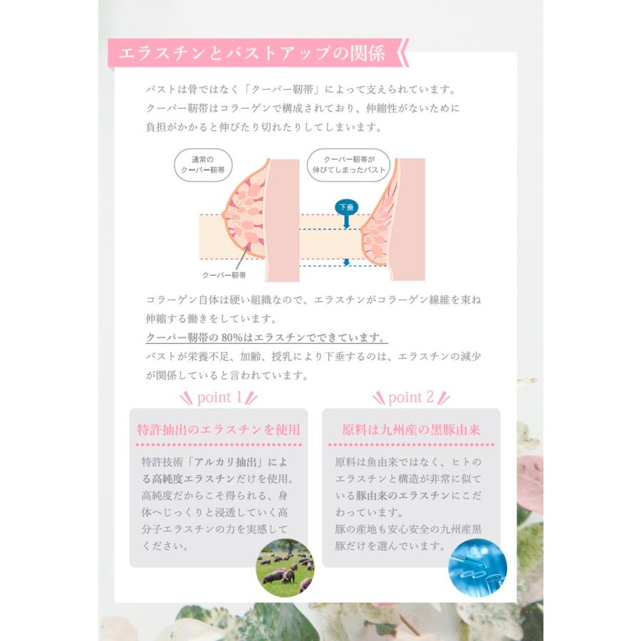 超人気高品質 数量限定 季令 KIREI エラスチン バストクリーム 2本