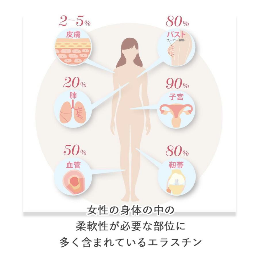 2本セット】季令 KIREI バストクリーム 120g 高純度エラスチン配合