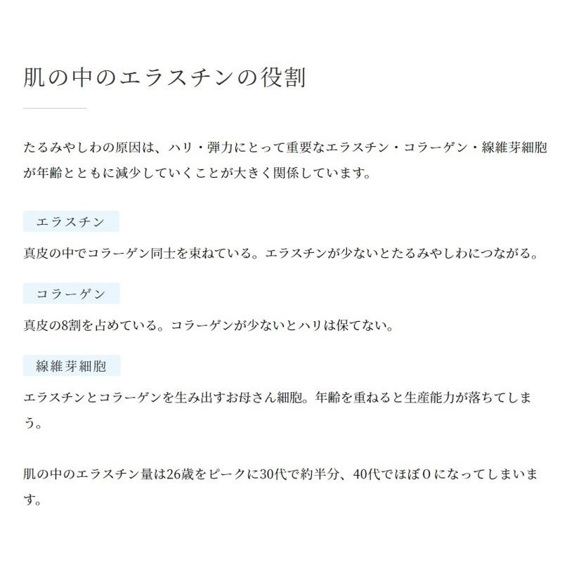 2本セット】季令 KIREI バストクリーム 120g 高純度エラスチン配合