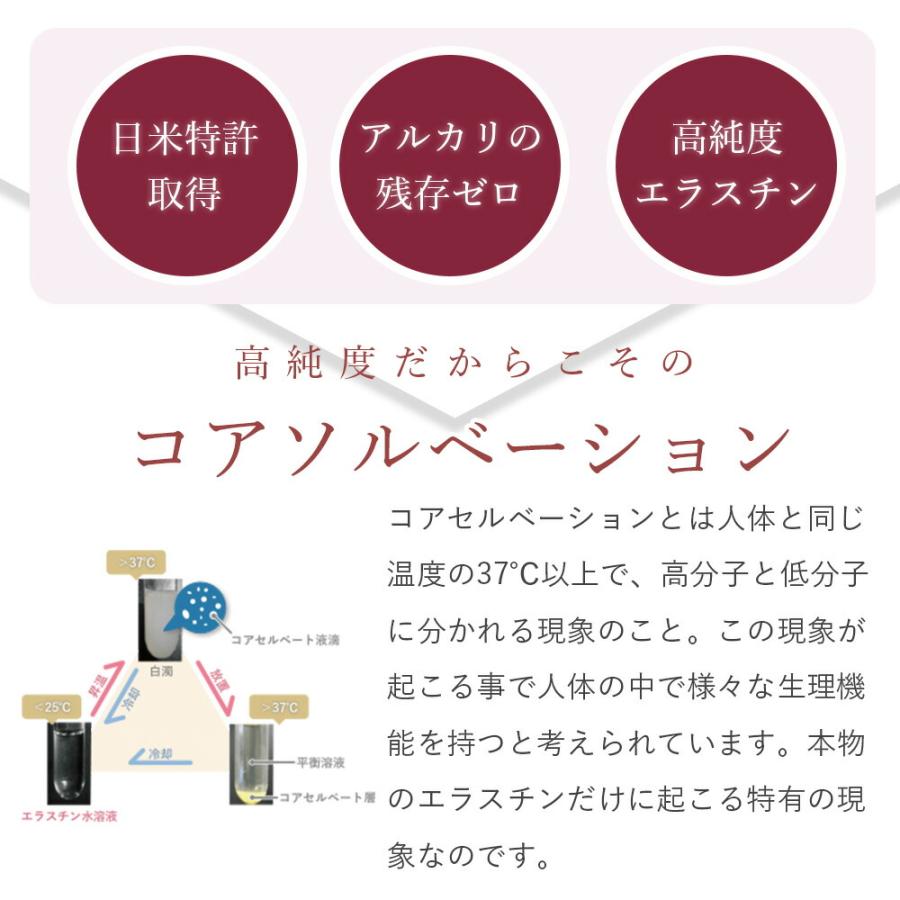 2本セット】季令 KIREI バストクリーム 120g 高純度エラスチン配合