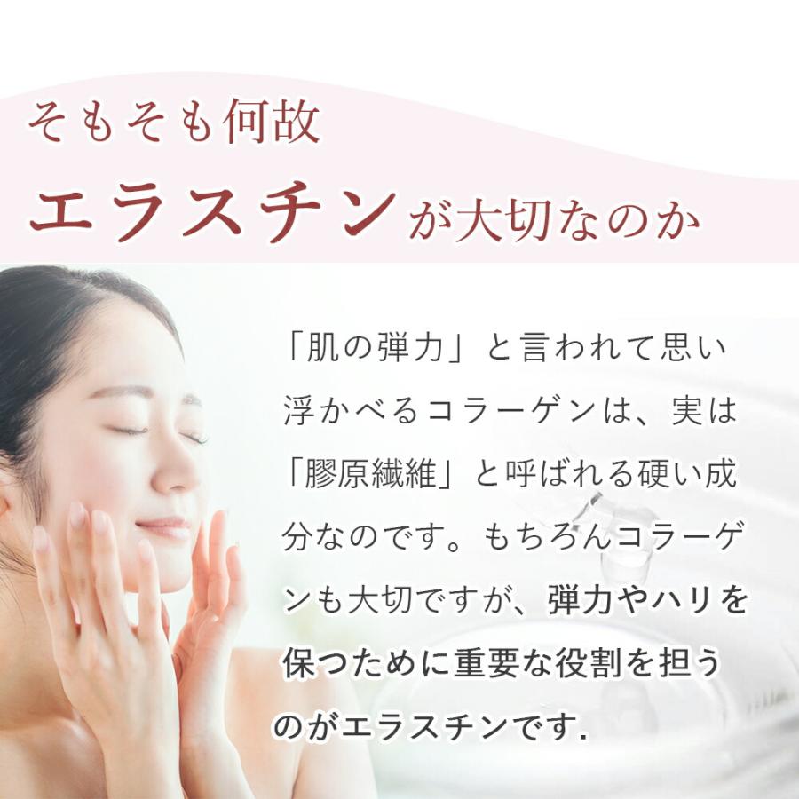 2本セット】季令 KIREI バストクリーム 120g 高純度エラスチン配合