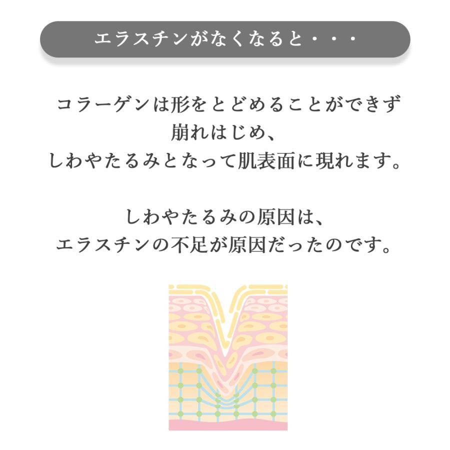 季令（KIREI） eトナー イートナー 100ml 高純度エラスチン 繊細な