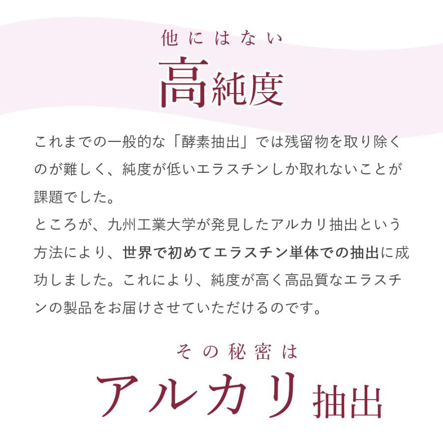 季令（KIREI） eトナー イートナー 100ml 高純度エラスチン 繊細な