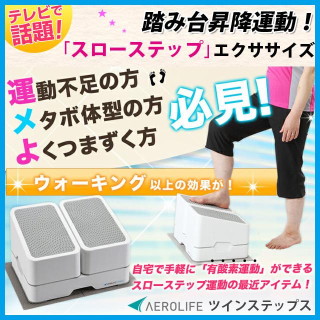エアロライフ ツインステップス Dr 3750 1年保証 足腰の筋力を効果的に向上 維持 踏み台昇降運動 Dr 3750 リベルタヴィラ 通販 Yahoo ショッピング