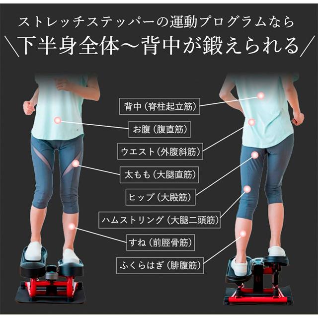 AEROLIFE（エアロライフ） ステッパー ストレッチステッパー DR-3835