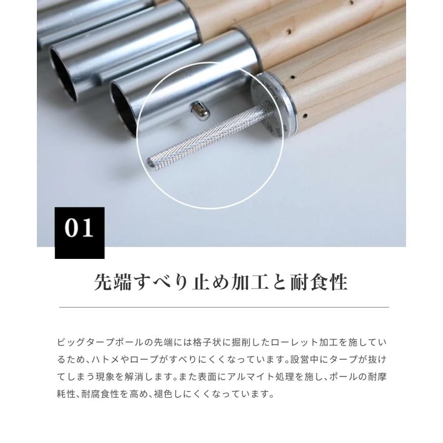 S'more ポール スモア アルミポール Smore Alumipole ブラック 2.8M