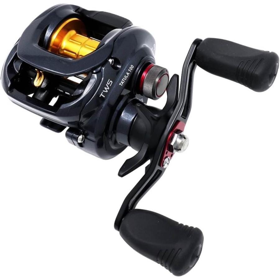 DAIWA（ダイワ） リール タトゥーラ 100SHL-TW 釣り サーフ