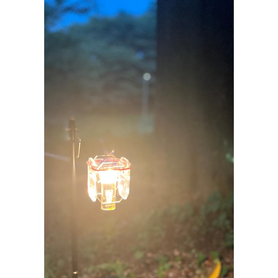 efim OCTAGON SHADE REFRECTION オクタゴン リフレクション