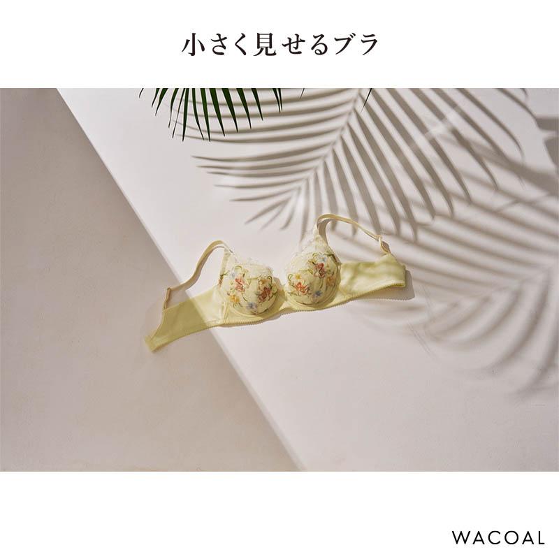 WACOAL（ワコール） 小さく見せるブラ レーシィ ブラジャー 3/4カップ