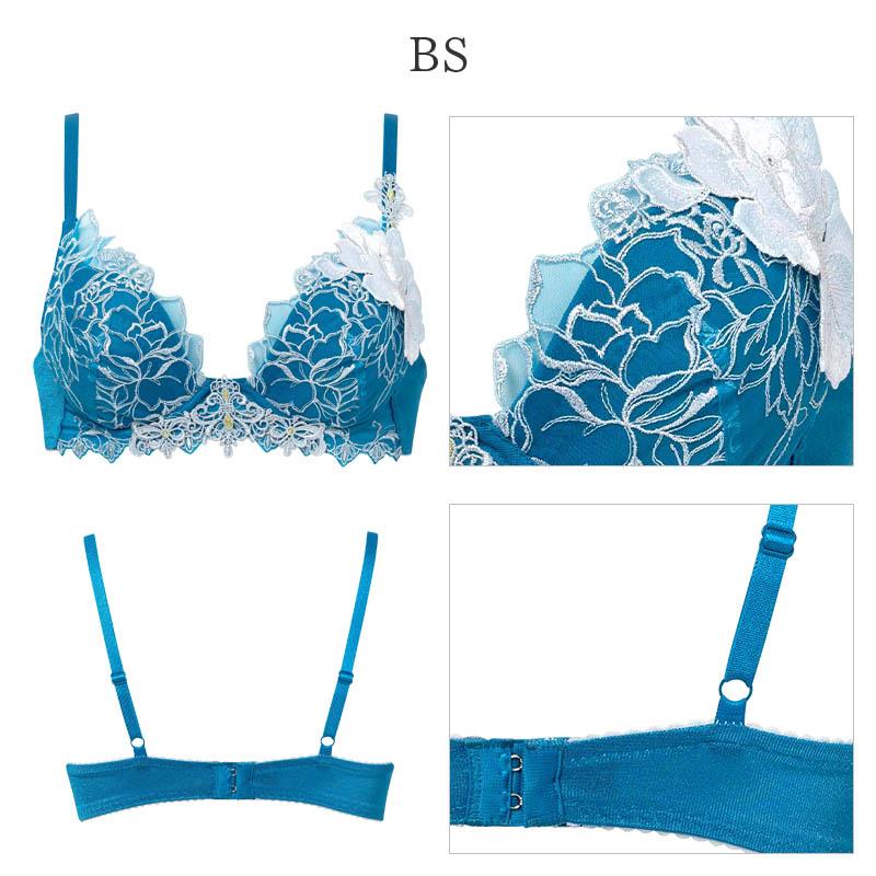 サルート（SALUTE） Salute 17グループ ワコール ブラジャー 3/4カップ