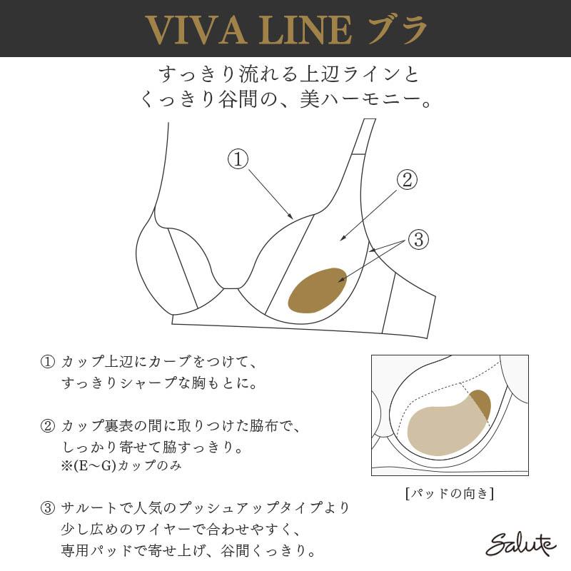 サルート（SALUTE） Salute 17グループ ワコール ブラジャー 3/4カップ
