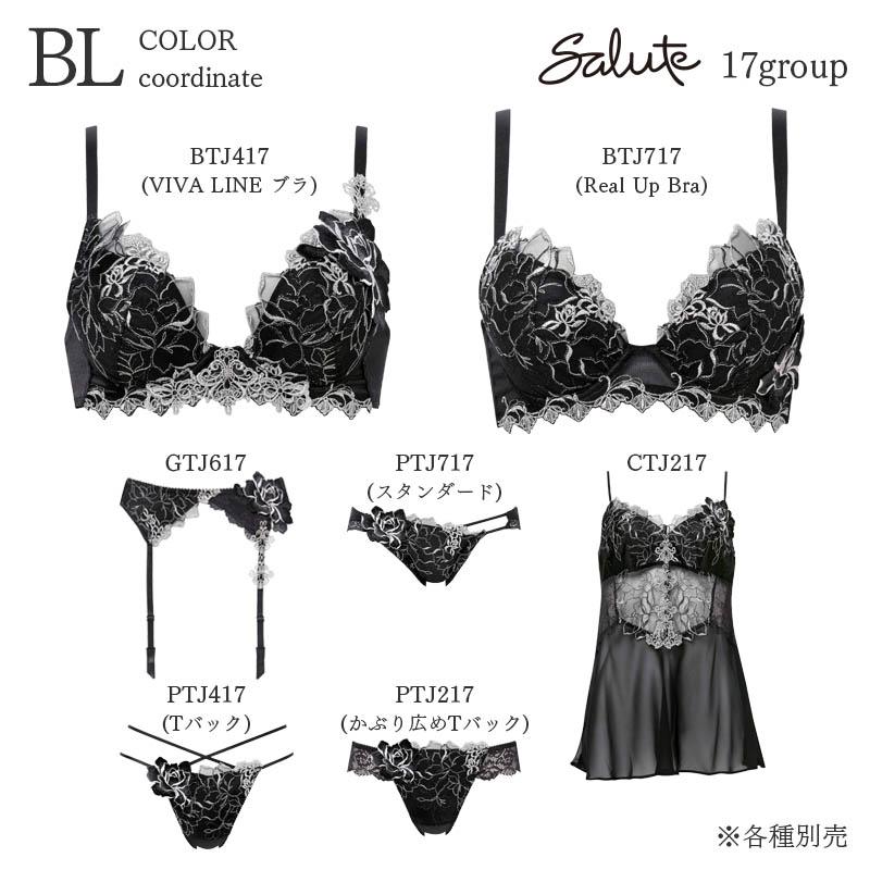 サルート（SALUTE） Salute 17グループ ワコール ブラジャー 3/4カップ