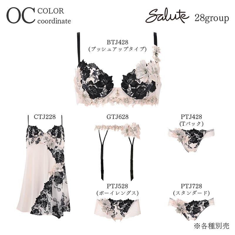 サルート（SALUTE） Salute 28グループ ワコール ブラジャー 3/4カップ