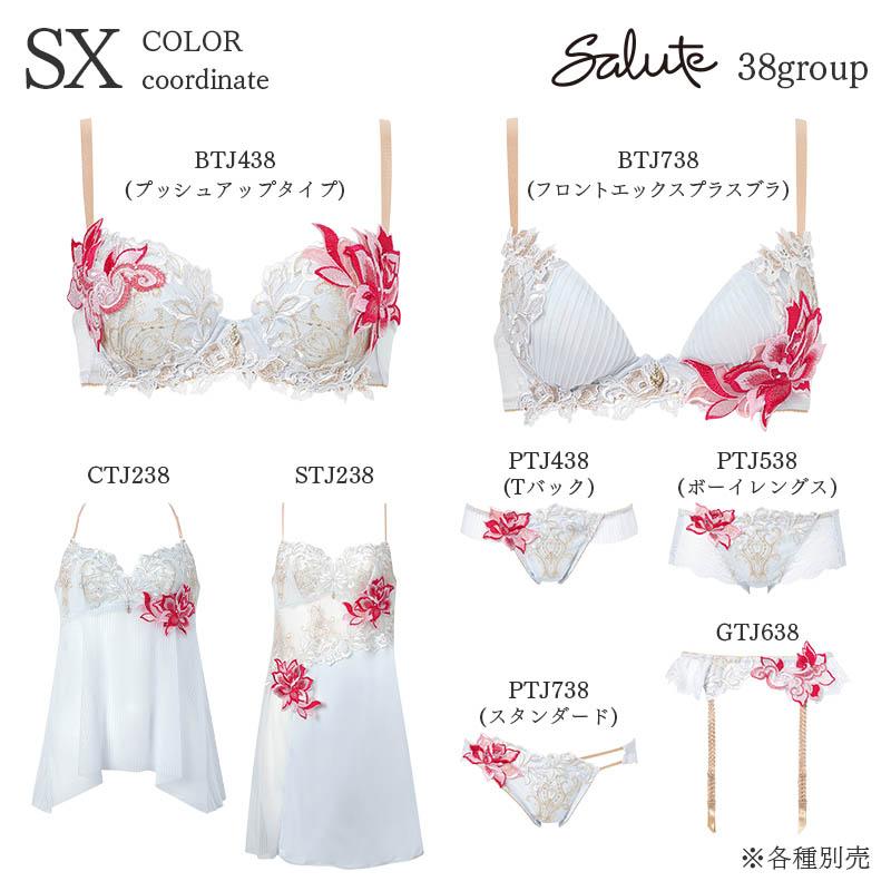 サルート（SALUTE） Salute 38グループ ワコール ブラジャー 3/4カップ
