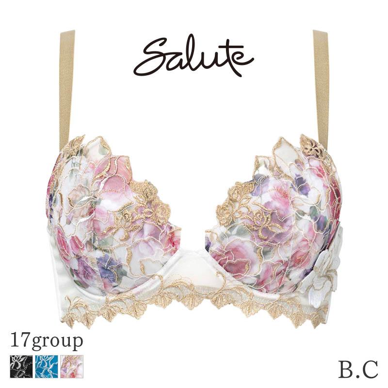 サルート（SALUTE） Salute 17グループ ワコール ブラジャー 3/4カップ