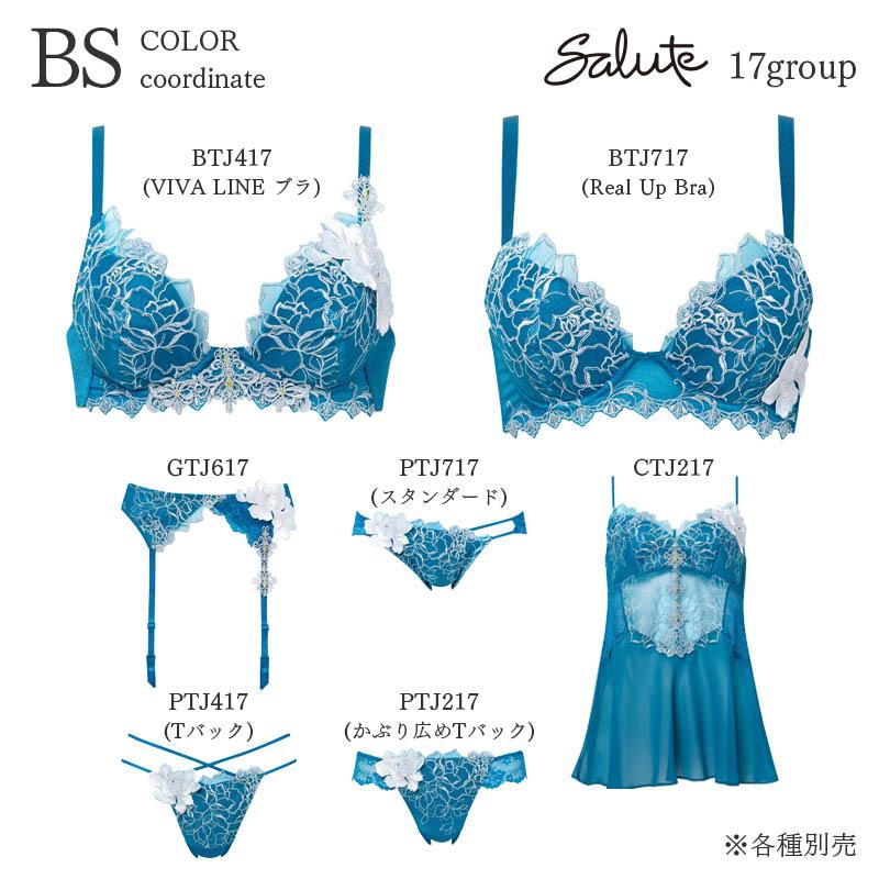 サルート（SALUTE） Salute 17グループ ワコール ブラジャー 3/4カップ