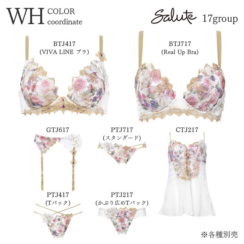 サルート（SALUTE） Salute 17グループ ワコール ブラジャー 3/4カップ