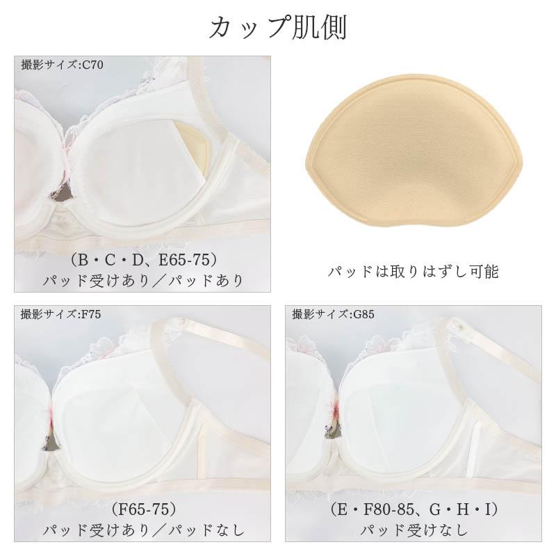 WACOAL（ワコール） プレミアム 17シリーズ ブラジャー 3/4カップ