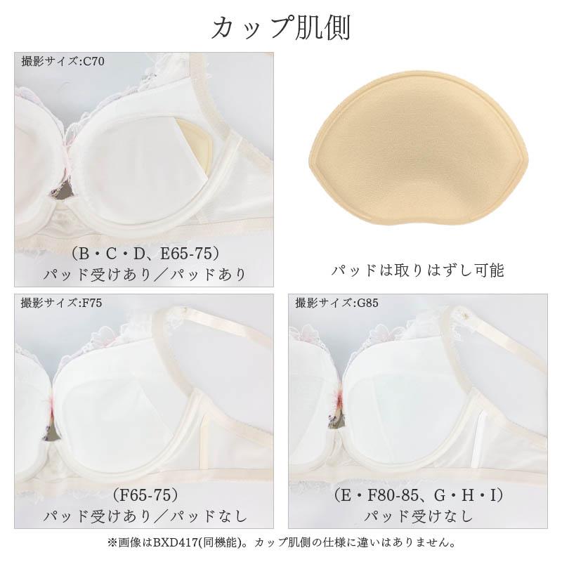 WACOAL（ワコール） プレミアム 22シリーズ ブラジャー 3/4カップ