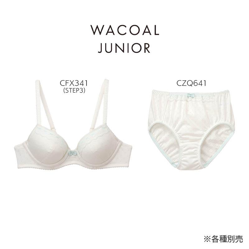 キッズ服(100cm~) Wacoal FairyTIARE ショーツ 100cm 9枚セット