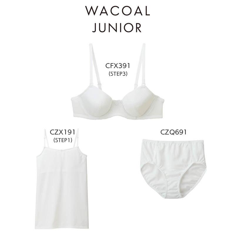 キッズ服(100cm~) Wacoal FairyTIARE ショーツ 100cm 9枚セット
