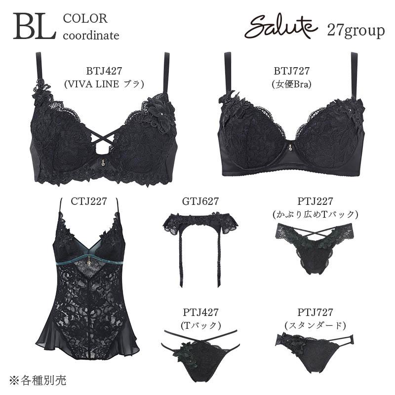 【Salute 】ブラジャー＆ショーツ サルート（SALUTE） Salute 27グループ ワコール ショーツ はきこみ丈